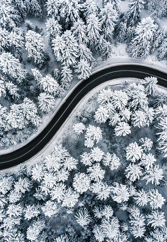 Winter